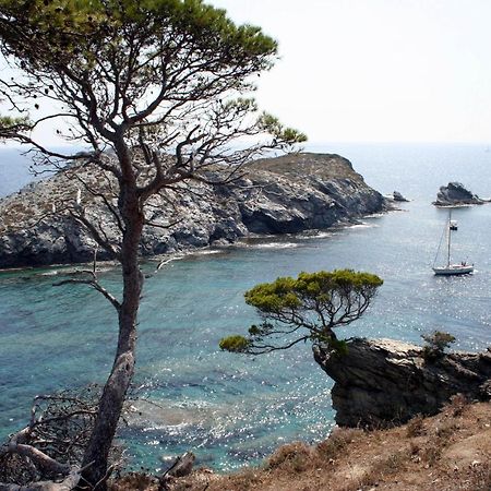 T2 Vue Mer 50M De La Plage A Giens Йер Экстерьер фото